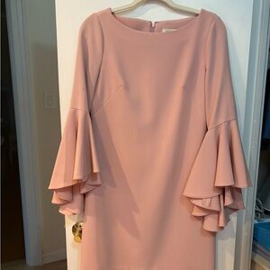 Eliza J Blush Bell Sleeve Dress